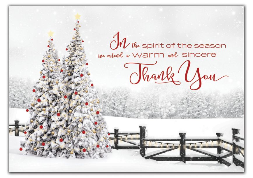 Product image for Seasonal Spirit Holiday Cards - Item# HP02104