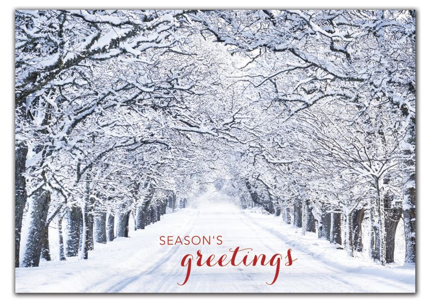 Product image for Crystal Lane Holiday Cards - Item# HP02107