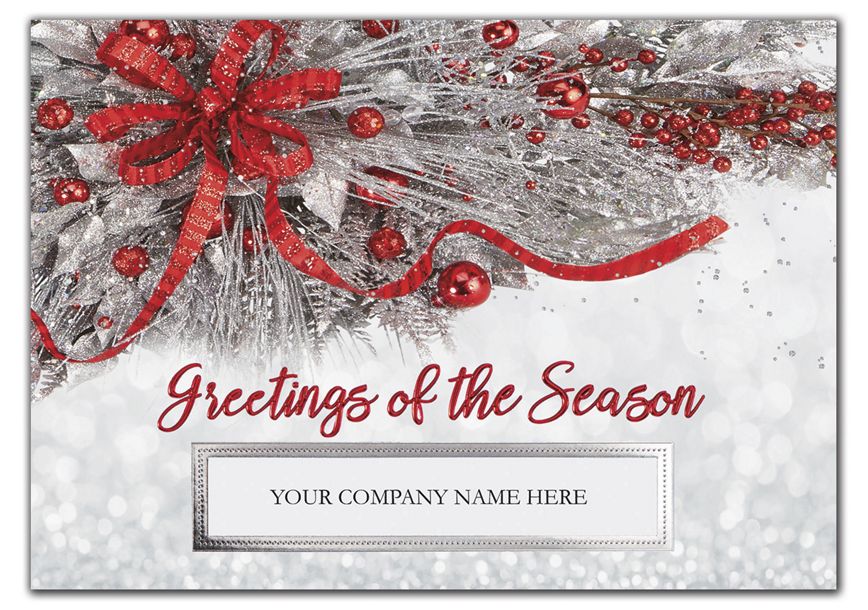 Product image for Silver Frost Holiday Cards - Item# HP02121