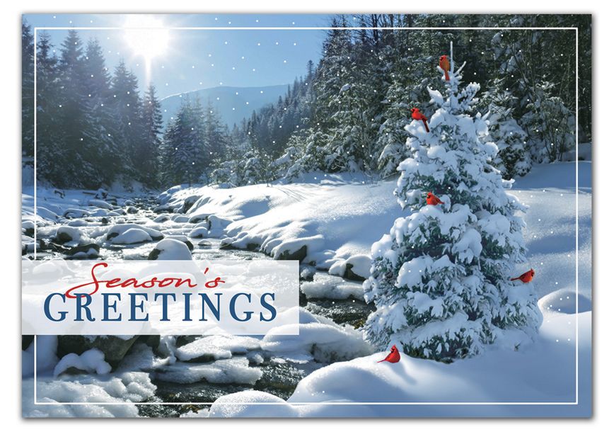 Product image for Sweet Seclusion Holiday Cards - Item# HP02213