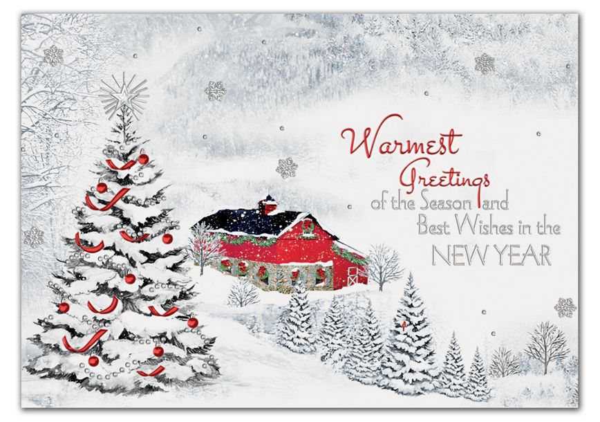 Product image for Settled In Holiday Cards - Item# HP02215