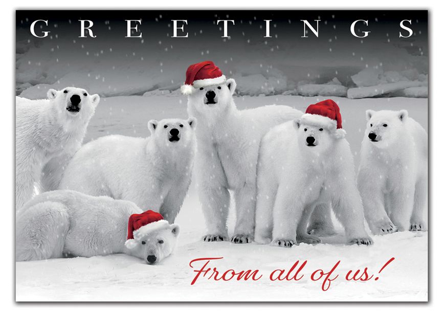 Product image for Polar Pack Holiday Cards - Item# HP02305