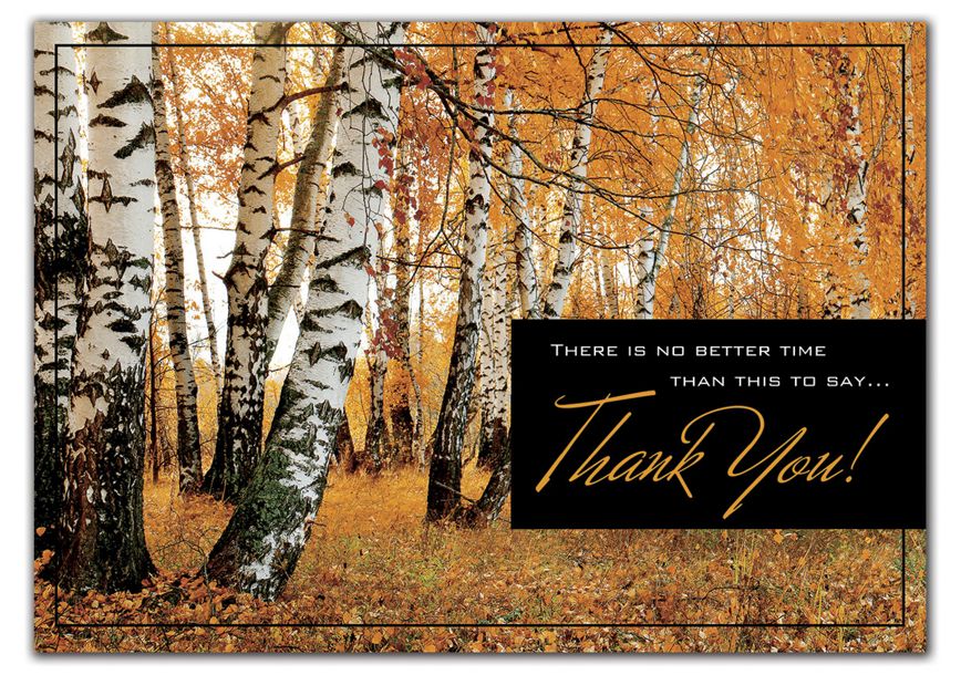 Product image for Amber Appreciation Thanksgiving Cards - Item# HP02308