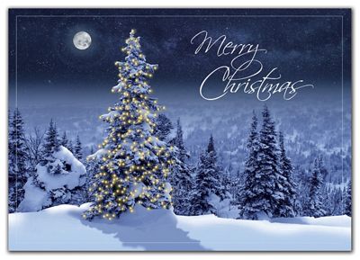 Sincere Good Wishes for Christmas and… 180 Best Christmas Wishes, Card Sayings, and Messages of 2025