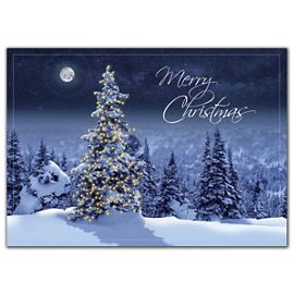 HP02315-Simply Stunning Christmas CardsHP02315