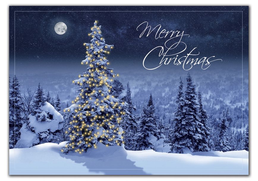 Product image for Simply Stunning Christmas Cards - Item# HP02315