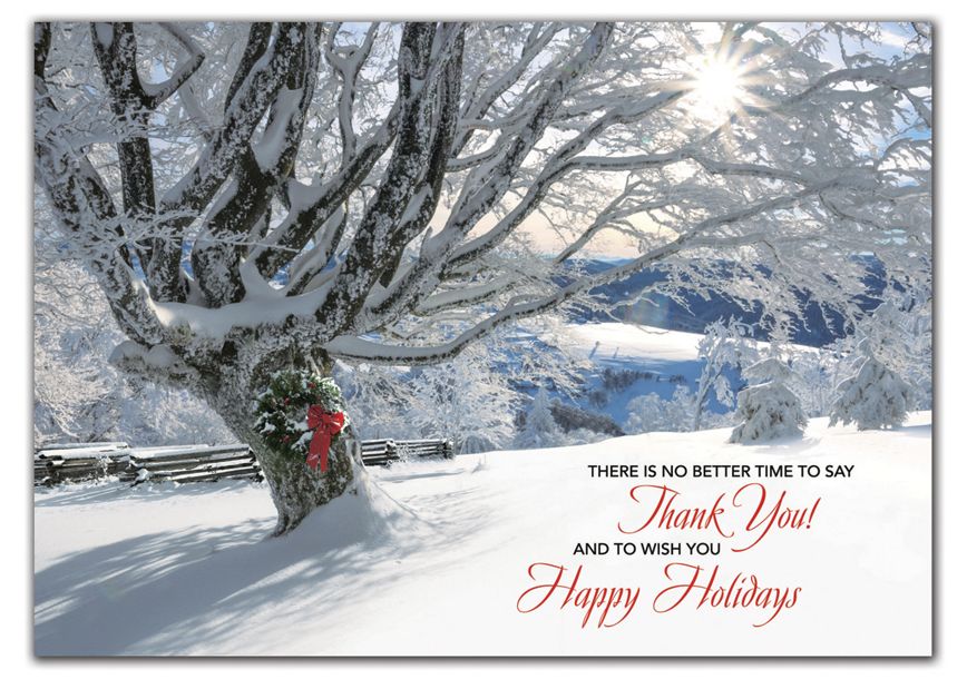 Product image for Striking Gratitude Holiday Cards - Item# HP02316