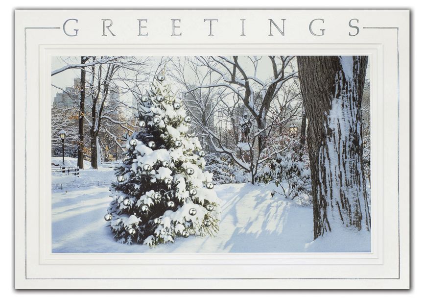Product image for Hidden Treasure Holiday Cards - Item# HP03393