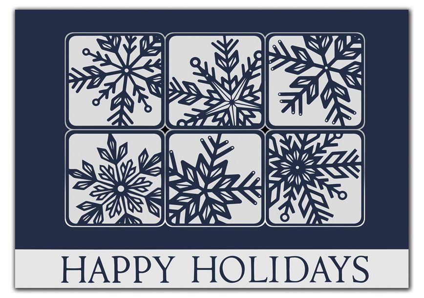 Product image for Silvery Snow Holiday Cards - Item# HP05351