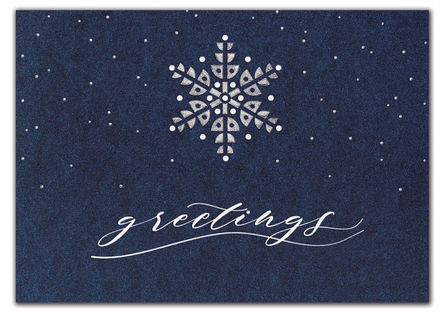 Product image for Starry Indigo Holiday Cards - Item# HP05354