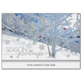 HP05358-Frosted Wonders Holiday CardsHP05358