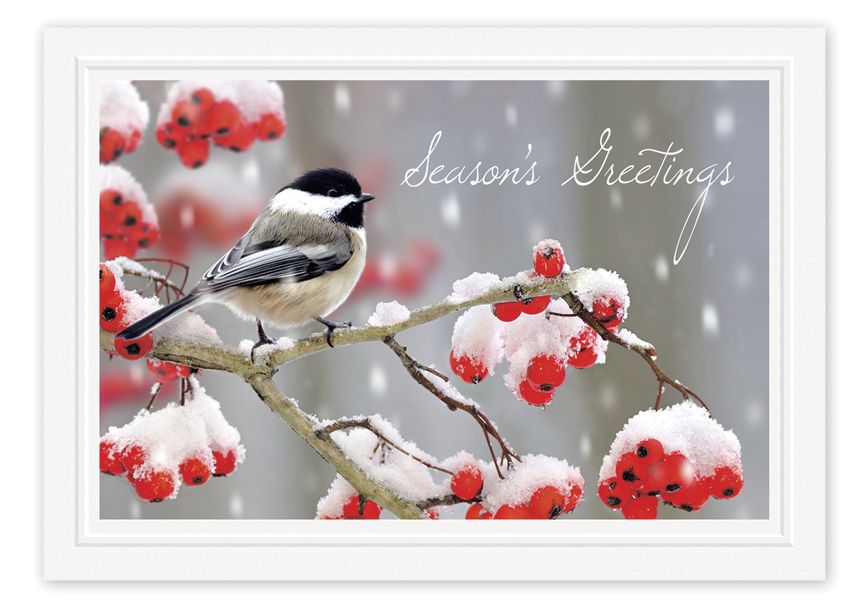 Product image for Tweet Greetings Holiday Cards - Item# HP08301