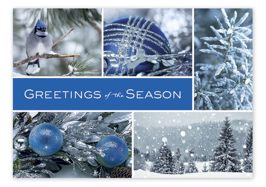 Product image for Icy Blue Wonder Holiday Cards - Item# HP08304