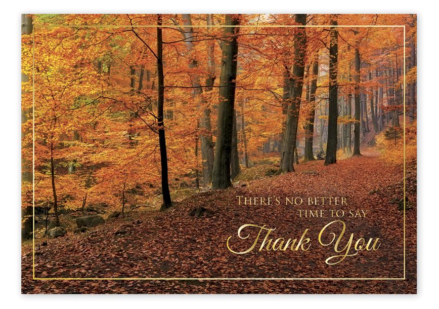 Product image for Woodland Gratitude Thanksgiving Cards - Item# HP08308