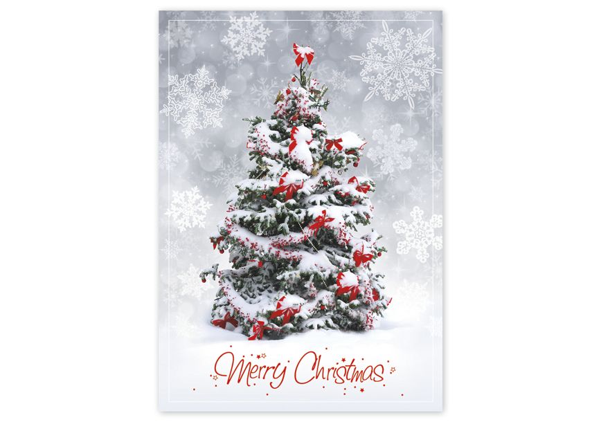 Product image for Christmas Surprise Greeting Cards - Item# HP08309