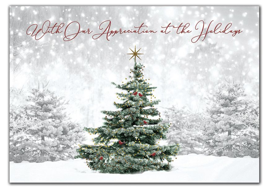 Product image for Spruced Up Holiday Cards - Item# HP09304