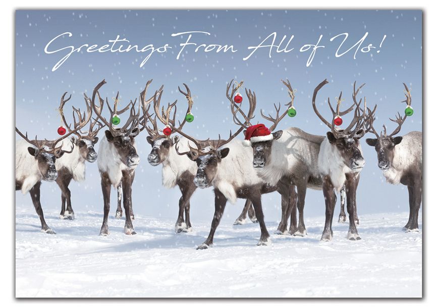 Product image for Antler Chandelier Holiday Cards - Item# HP09308