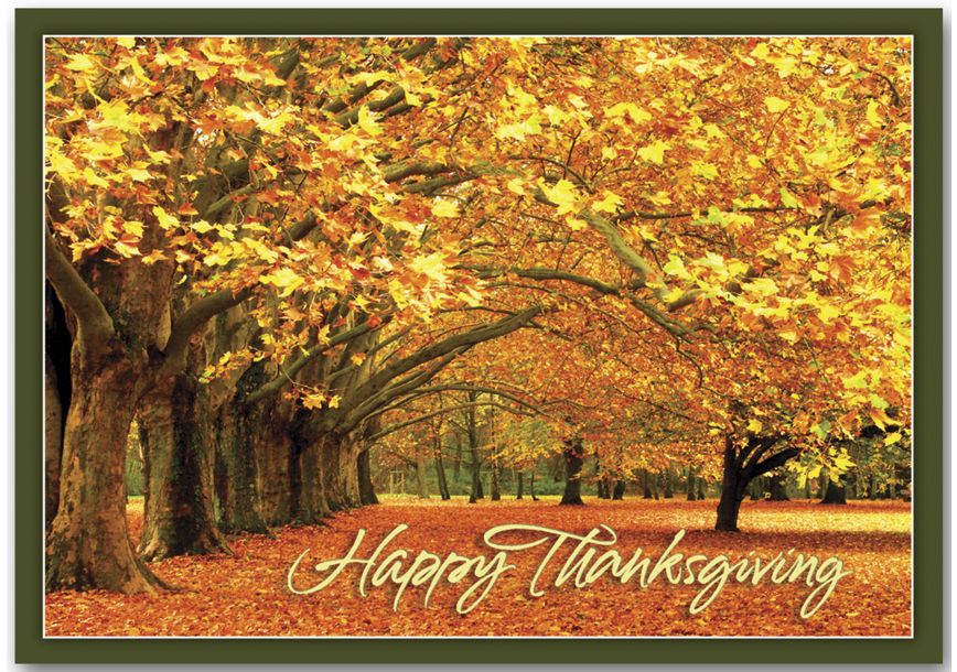Product image for Canopy of Gold Thanksgiving Cards - Item# HP13309