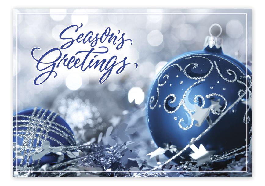 Product image for Nestled In Silver Holiday Cards - Item# HP14312