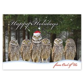 HP14315-Owl of Us Christmas CardsHP14315