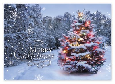 Beacon of Joy Christmas Cards  Deluxe  Deluxe.com