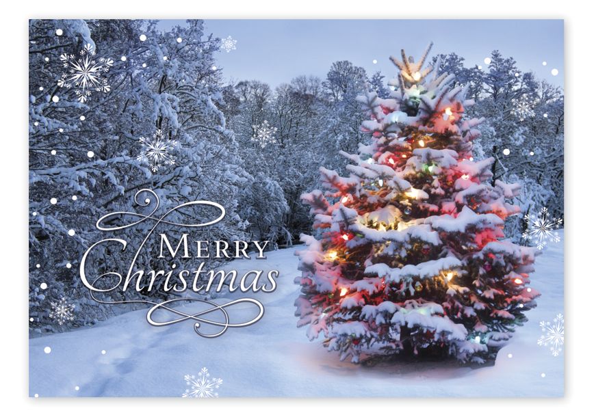Product image for Beacon of Joy  Christmas Cards - Item# HP14318