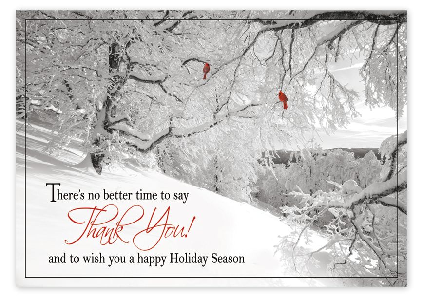 Product image for Glorious Thanks Holiday Cards - Item# HP17313_N7313