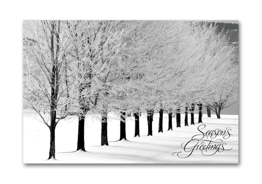 Product image for Snowy Arbor Avenue Holiday Postcards - Item# HPC0905