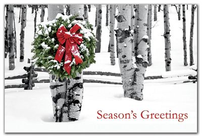 Holiday Cards: 20 White Birches | Set Di 20 Biglietti Di Auguri Con Betulle Bianche | Cartoline D'Artista Per Natale E Festività