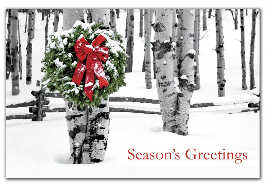 Product image for Birch Grove Holiday Postcards - Item# HPC2203