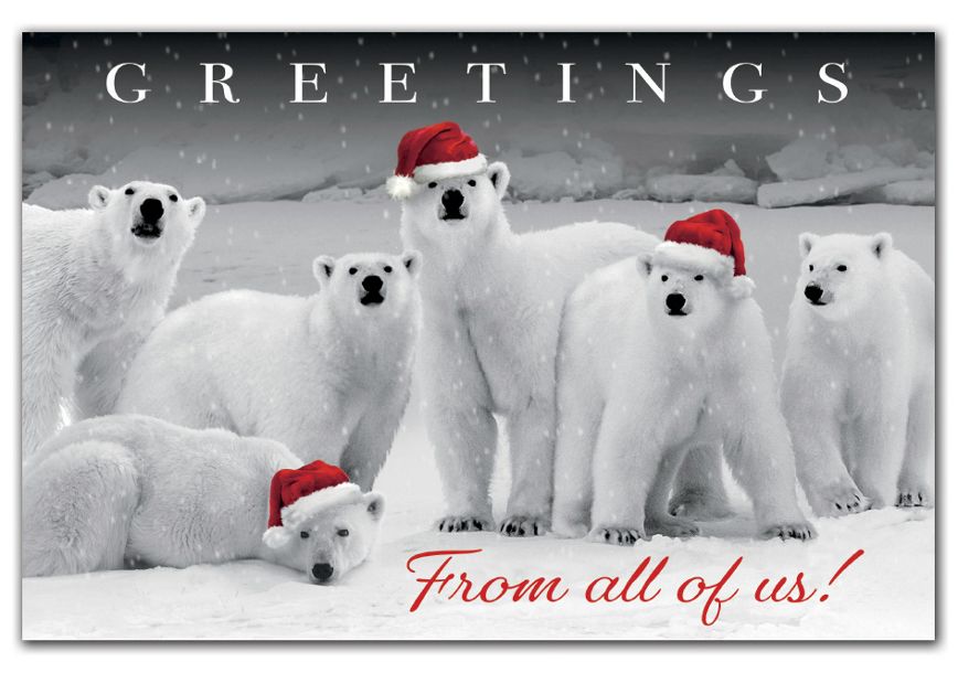 Product image for Polar Pack Holiday Postcards - Item# HPC2205