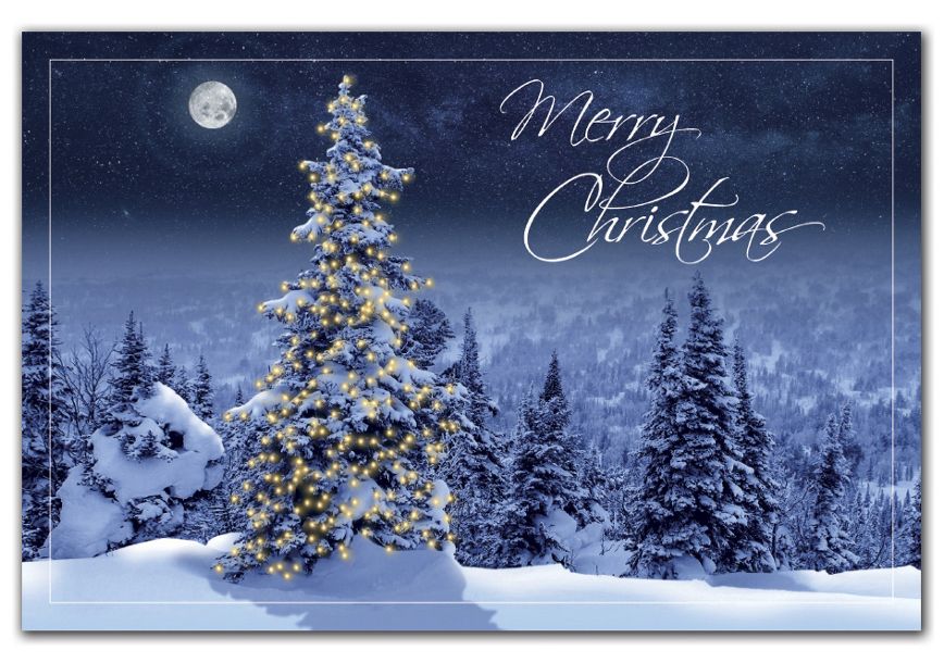 Product image for Simply Stunning Holiday Postcards - Item# HPC2215