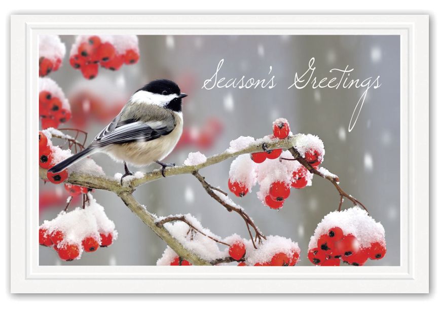 Product image for Tweet Greetings Holiday Postcards - Item# HPC8201