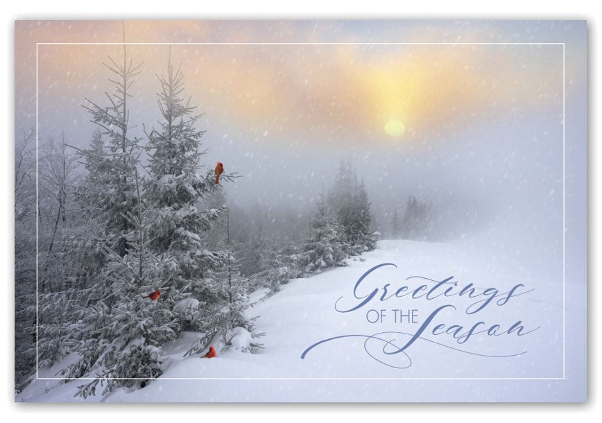 Product image for Fantastic Flurries Holiday Postcards - Item# HPC8203