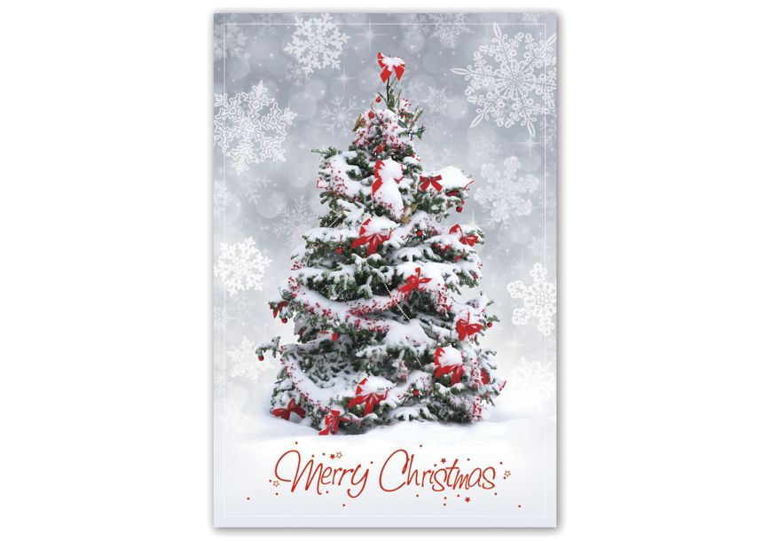 Product image for Christmas Surprise Christmas Postcards - Item# HPC8209
