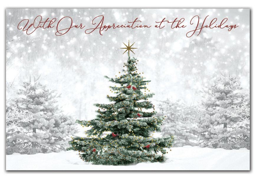 Product image for Spruced Up Holiday Postcards - Item# HPC9204