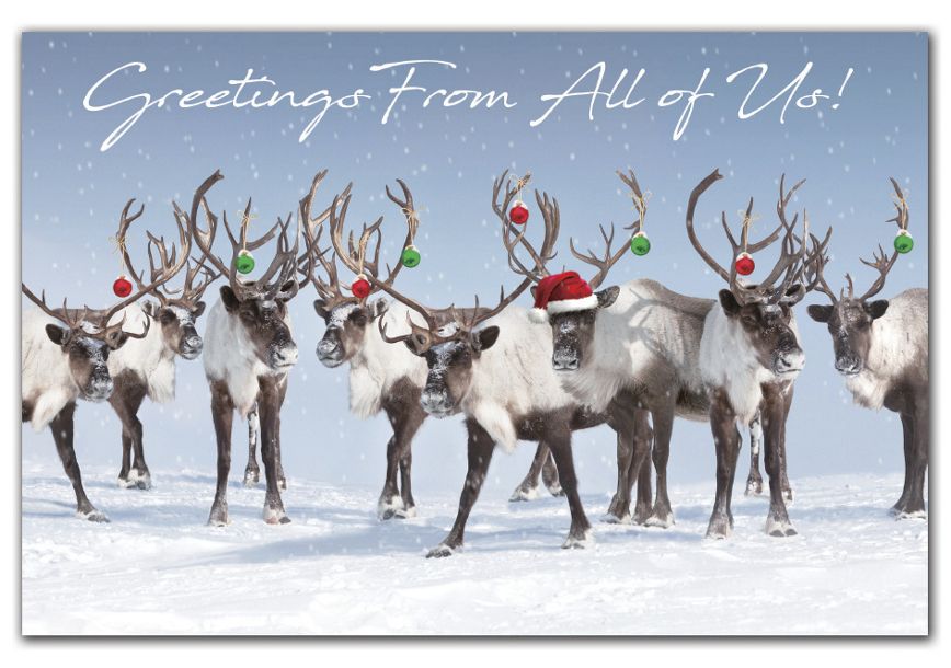 Product image for Antler Chandelier Holiday Postcards - Item# HPC9208