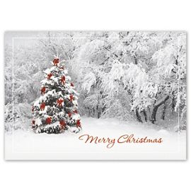 HV08805-Secret Sighting Christmas CardsHV08805