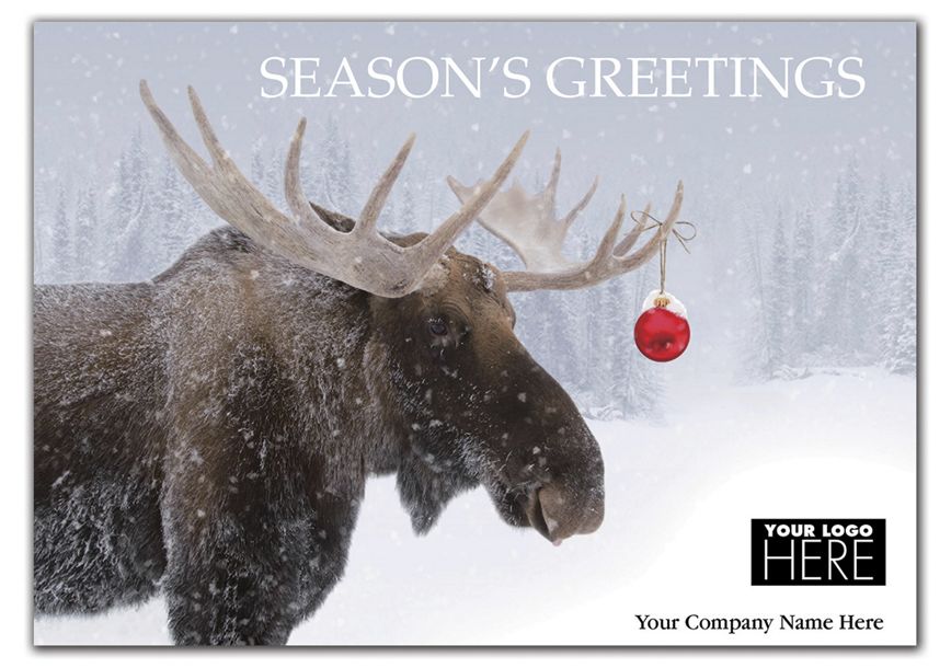 Product image for Tundra Trimmings Holiday Logo Cards - Item# MT14013