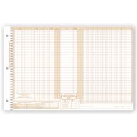 Daily Control Sheets, Pegmaster, Payment