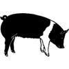 Logo SD02022
