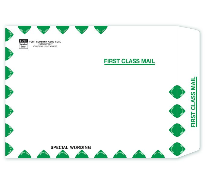 Tyvek First Class Mailing Envelope Deluxe