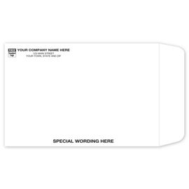 TP0069-White Tyvek EnvelopeTP0069