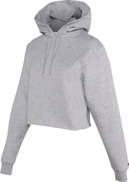 light steel champion hoodie